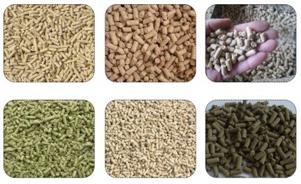200 kg Futtermaschine zur Herstellung von Pellet-Hühnchen- und Fischfutter mit hervorragender Leistung